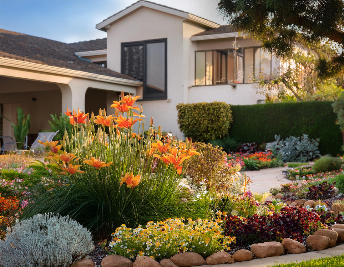 California Native Borders: Unleash Your Inner Plant Picasso.