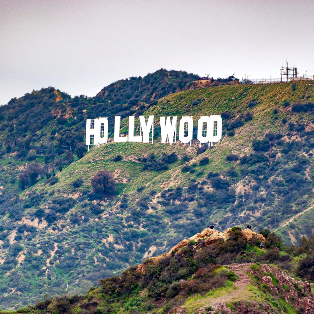 The Hollywood